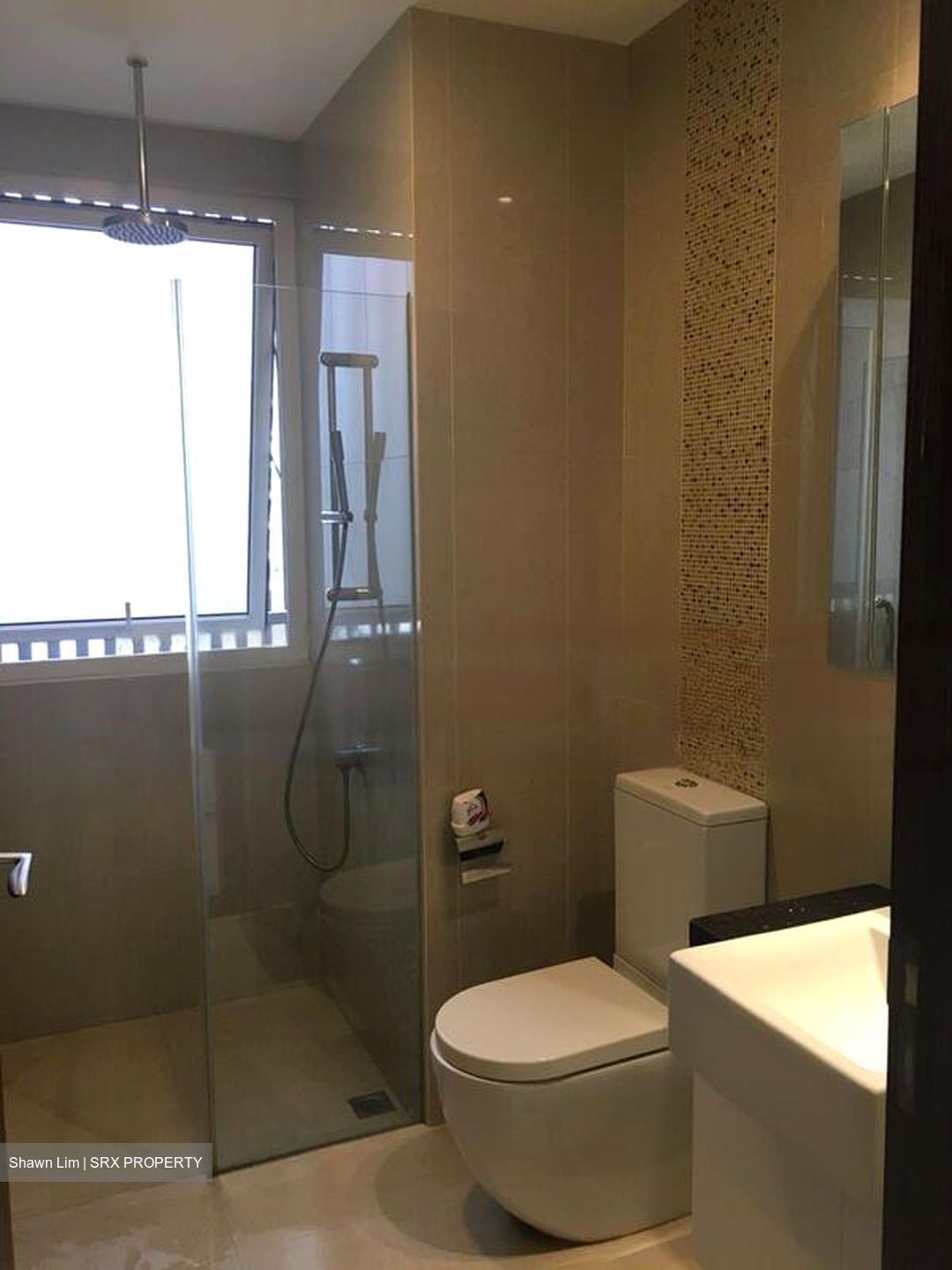 8 Bassein (D11), Apartment #475819651